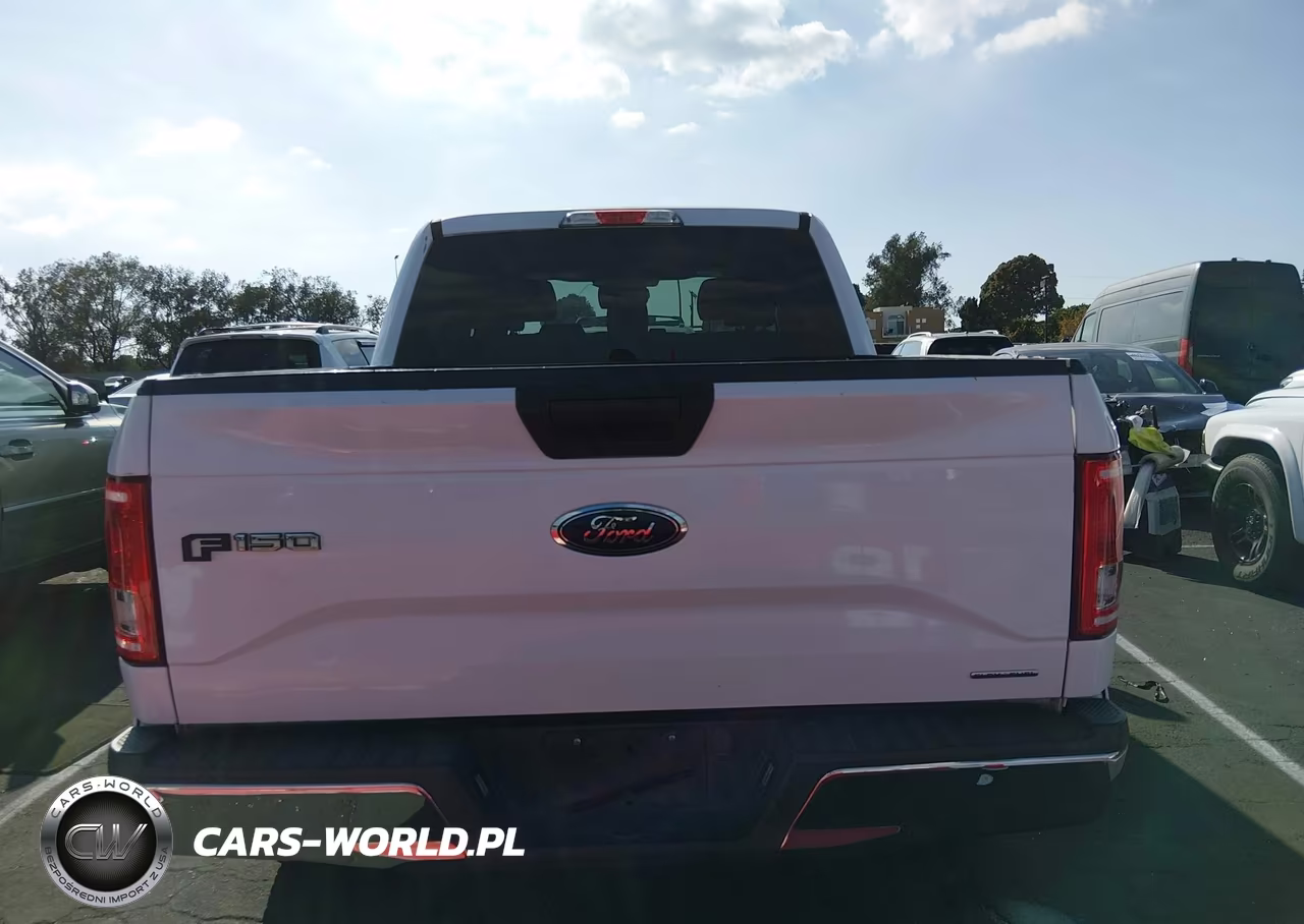 2016 Ford F-150 Xlt VIN:1FTEW1C8XGKE76508 - 16