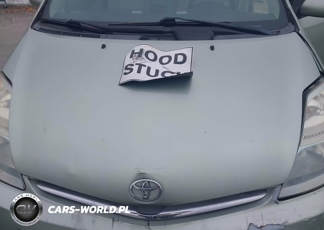 2008 Toyota Prius VIN:JTDKB20U483378396 - 10