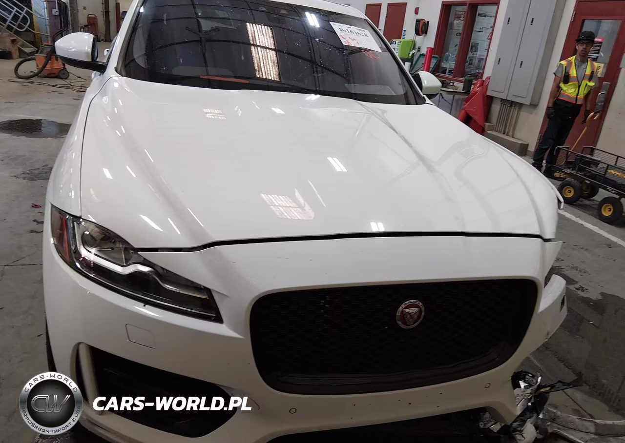 2018 Jaguar F-Pace 25T R-Sport VIN:SADCL2FX6JA249729 - 12