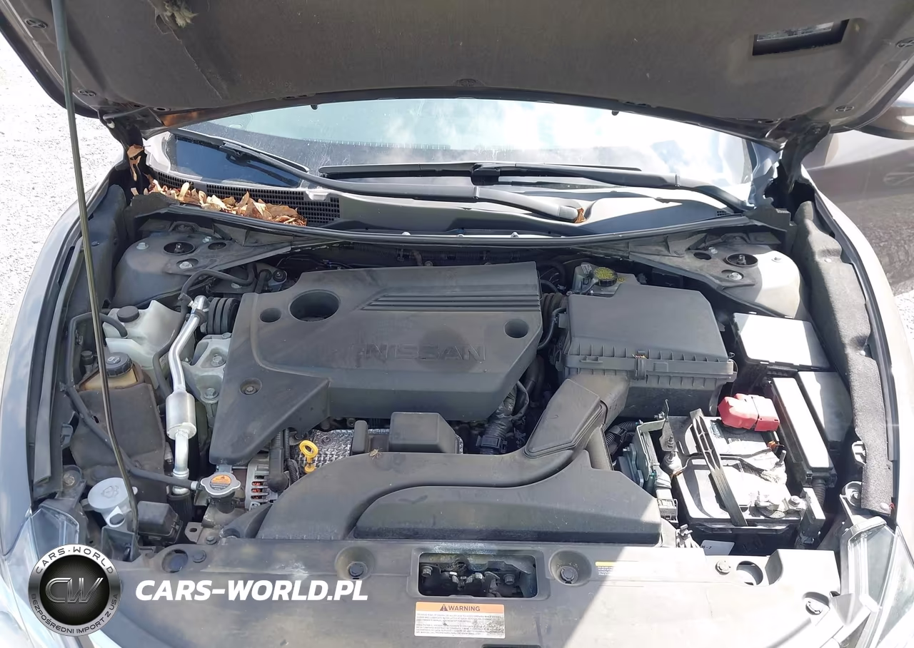 2016 Nissan Altima 2.5 Sv VIN:1N4AL3AP5GC135174 - 10