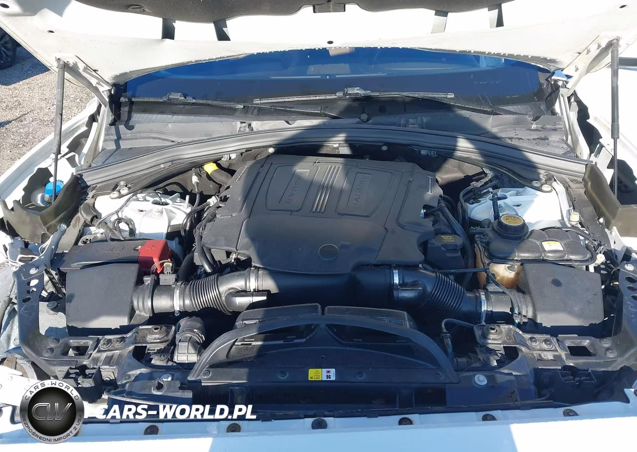 2019 Jaguar F-Pace S VIN:SADCM2FV9KA600663 - 10