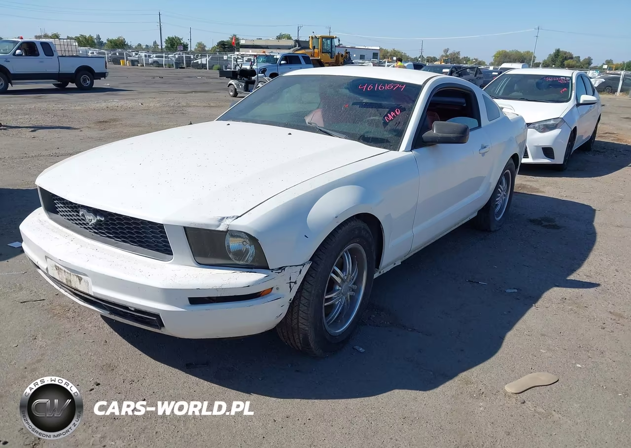 2005 Ford Mustang V6 Deluxe-V6 Premium VIN:1ZVHT80N955158896 - 2