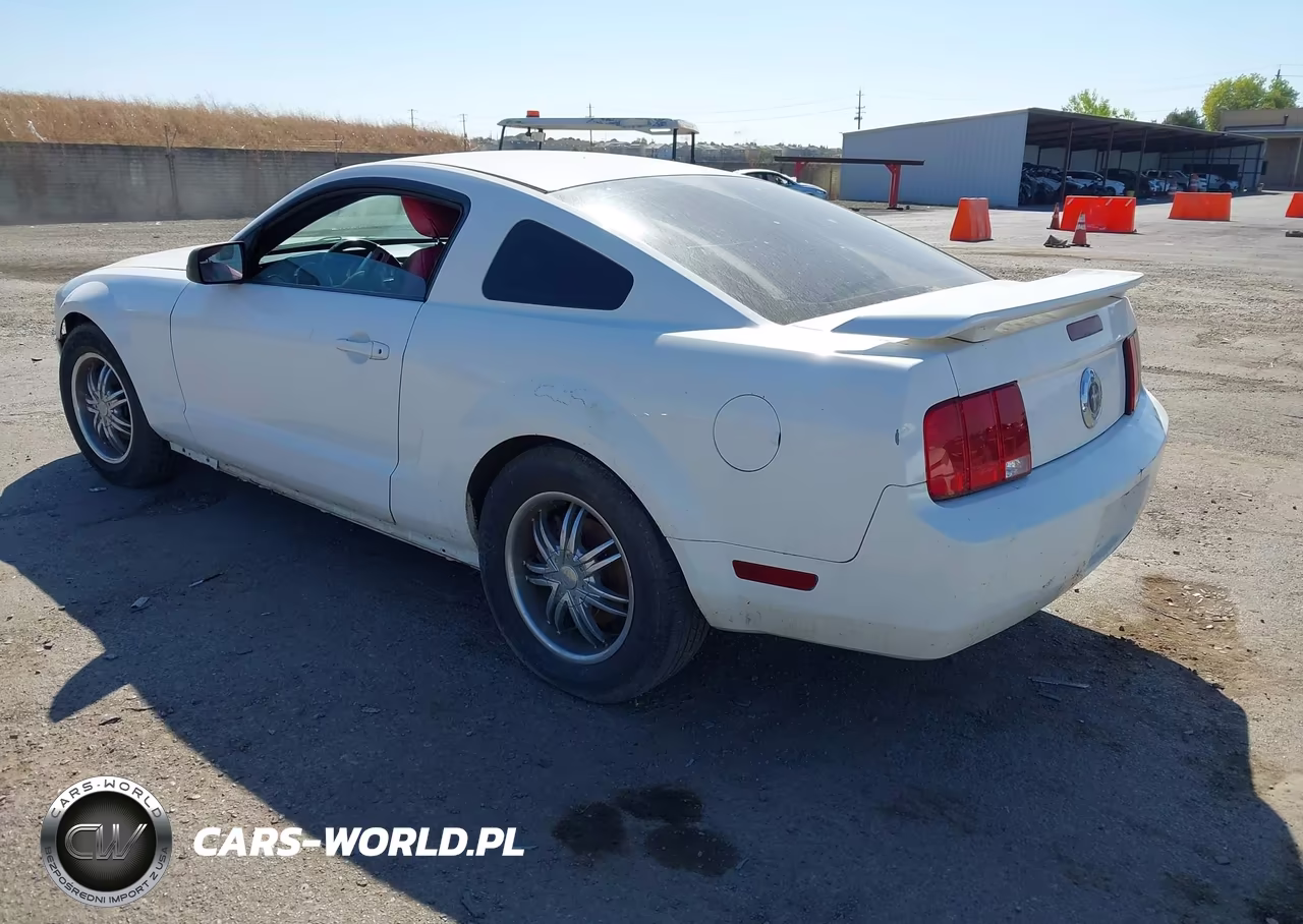 2005 Ford Mustang V6 Deluxe-V6 Premium VIN:1ZVHT80N955158896 - 3