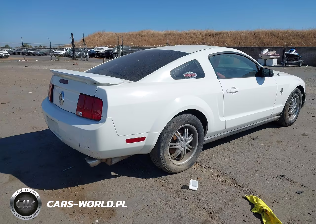 2005 Ford Mustang V6 Deluxe-V6 Premium VIN:1ZVHT80N955158896 - 4
