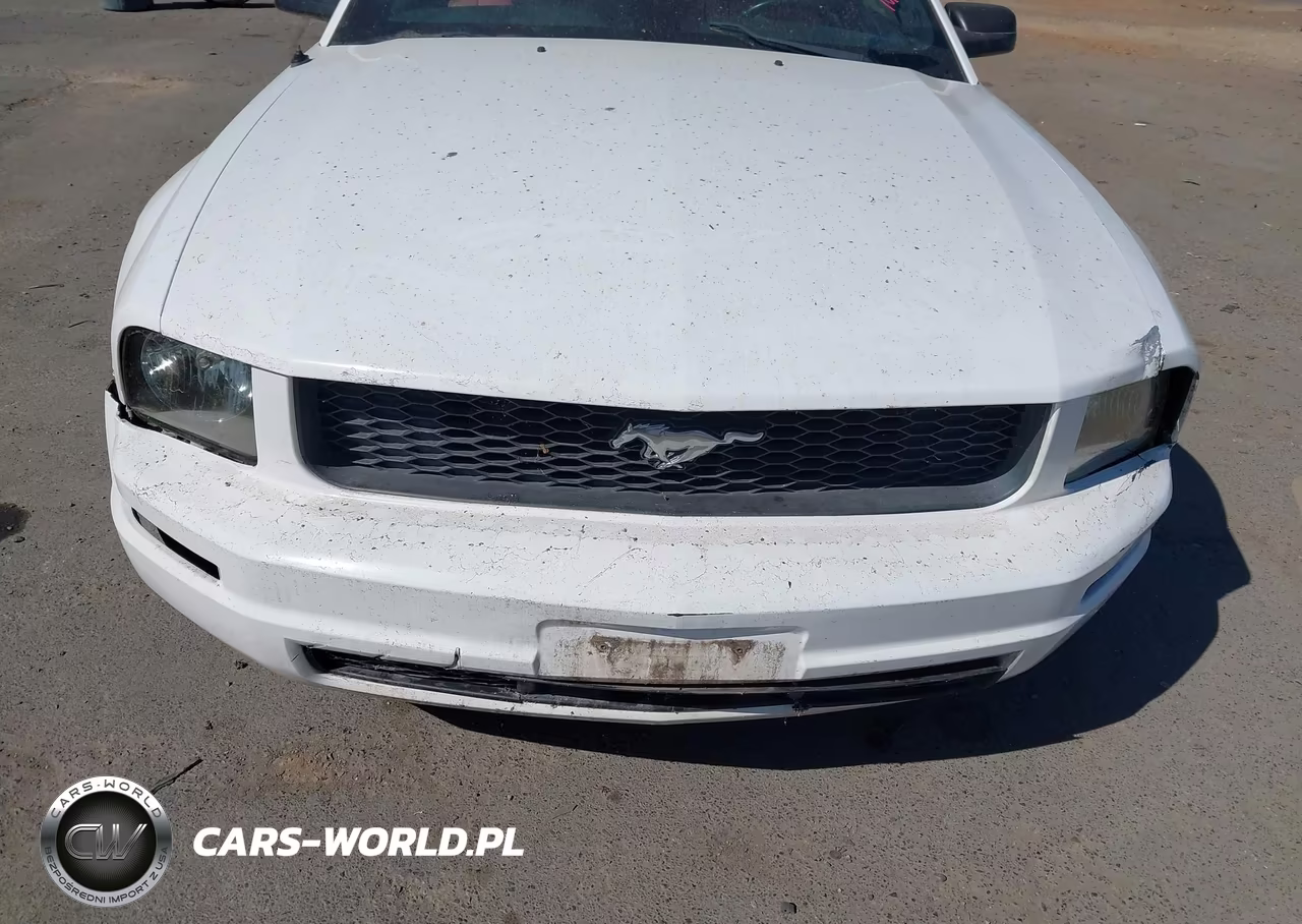 2005 Ford Mustang V6 Deluxe-V6 Premium VIN:1ZVHT80N955158896 - 6
