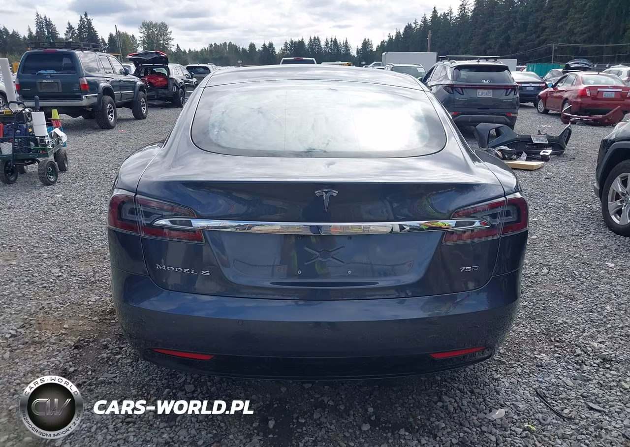 2017 Tesla Model S 100D-60D-75D-90D-P100D VIN:5YJSA1E23HF201233 - 16