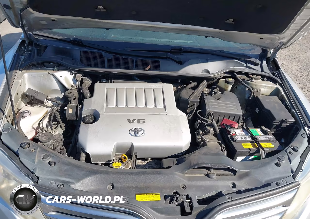 2010 Toyota Venza Base V6 VIN:4T3ZK3BB5AU028942 - 10