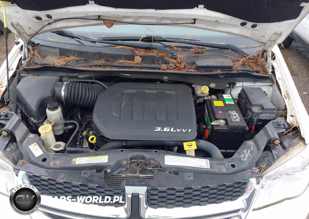 2013 Dodge Grand Caravan Sxt VIN:2C4RDGCGXDR611615 - 10