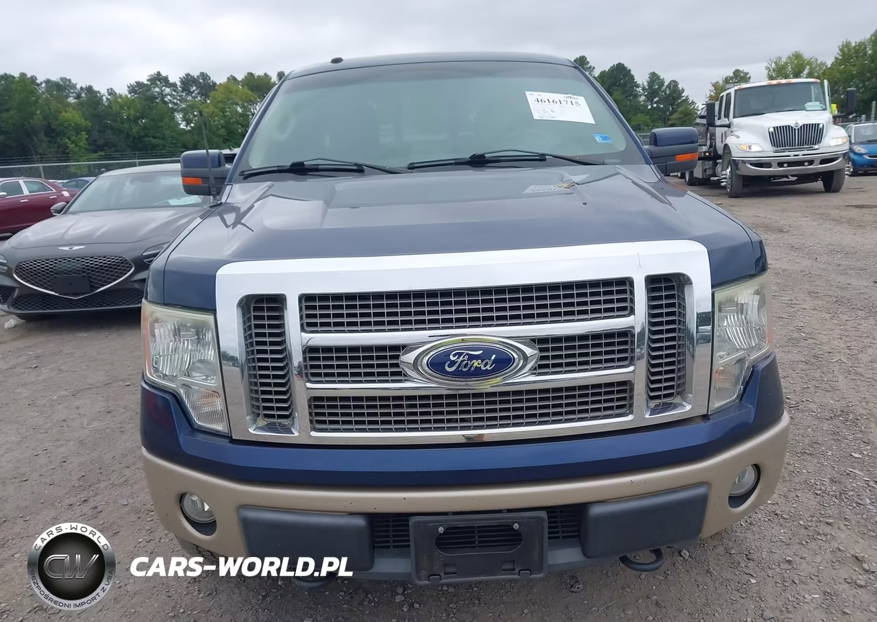 2010 Ford F-150 Fx4-Lariat-Xl-Xlt VIN:1FTFX1EV0AFB52827 - 12