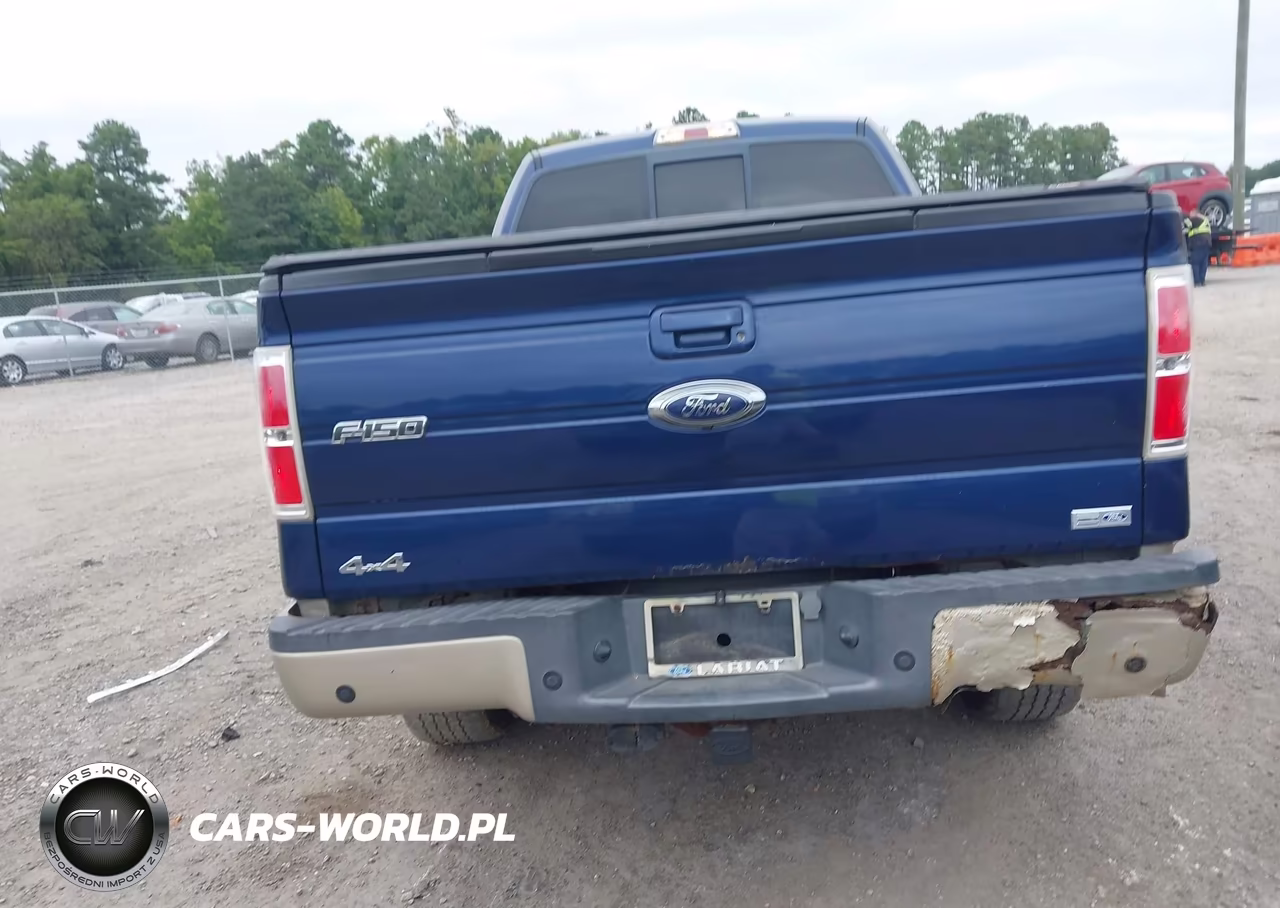 2010 Ford F-150 Fx4-Lariat-Xl-Xlt VIN:1FTFX1EV0AFB52827 - 16