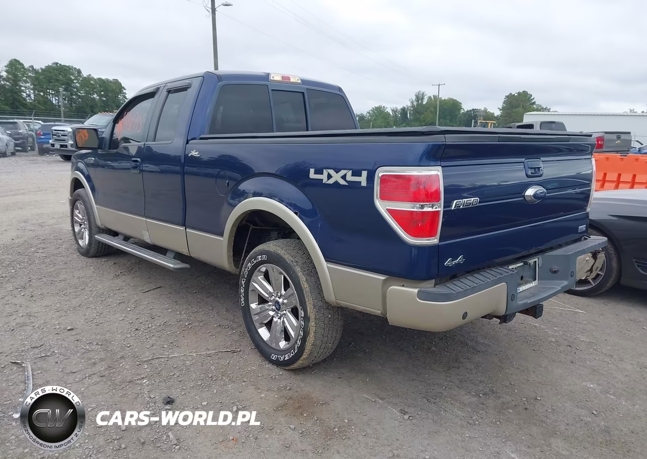 2010 Ford F-150 Fx4-Lariat-Xl-Xlt VIN:1FTFX1EV0AFB52827 - 3