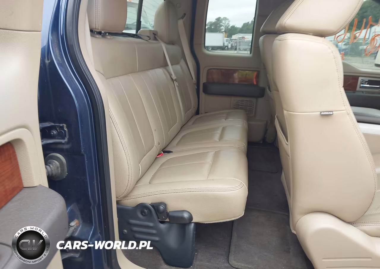 2010 Ford F-150 Fx4-Lariat-Xl-Xlt VIN:1FTFX1EV0AFB52827 - 8