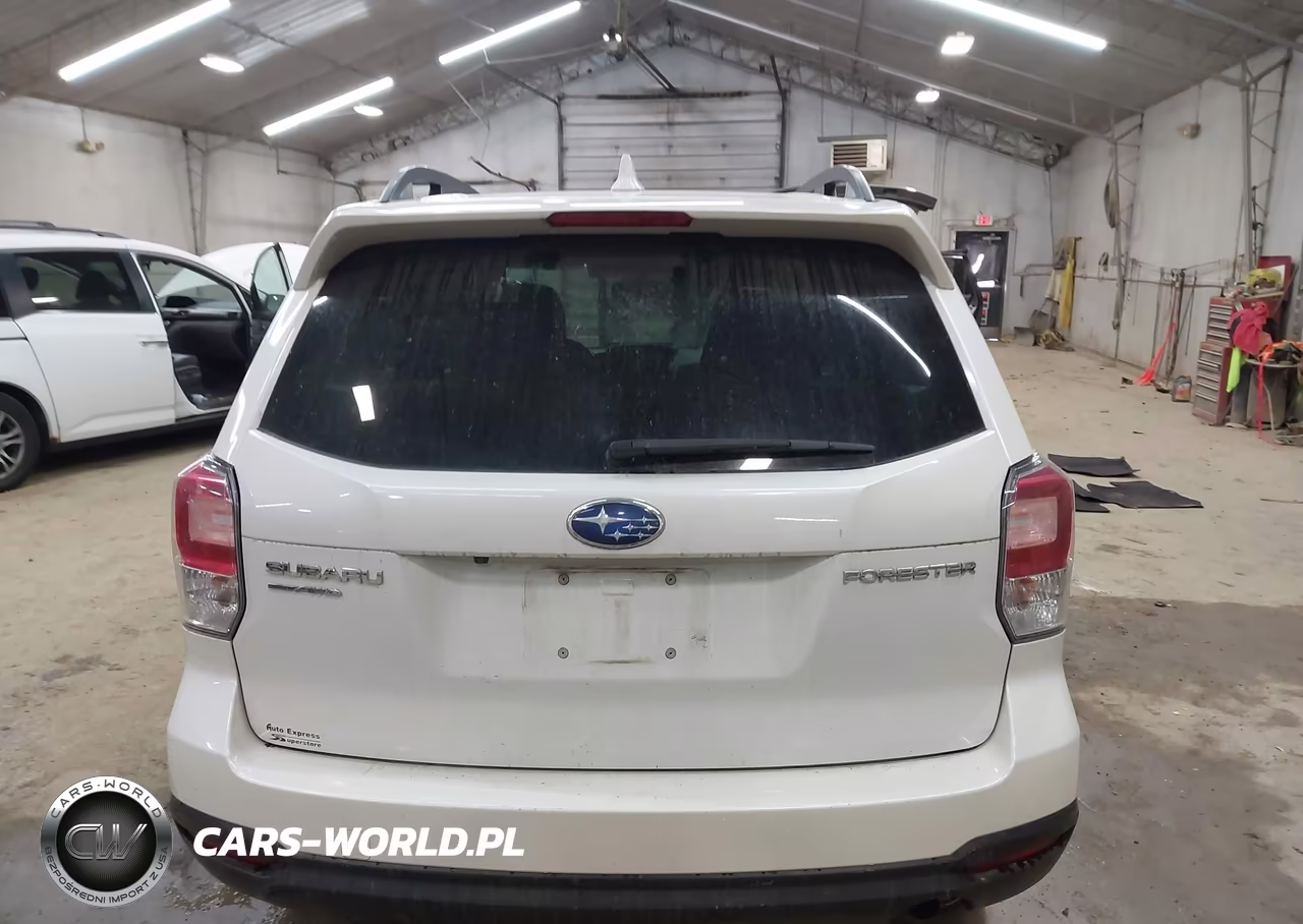 2018 Subaru Forester 2.5I Premium VIN:JF2SJAGC7JH462653 - 16