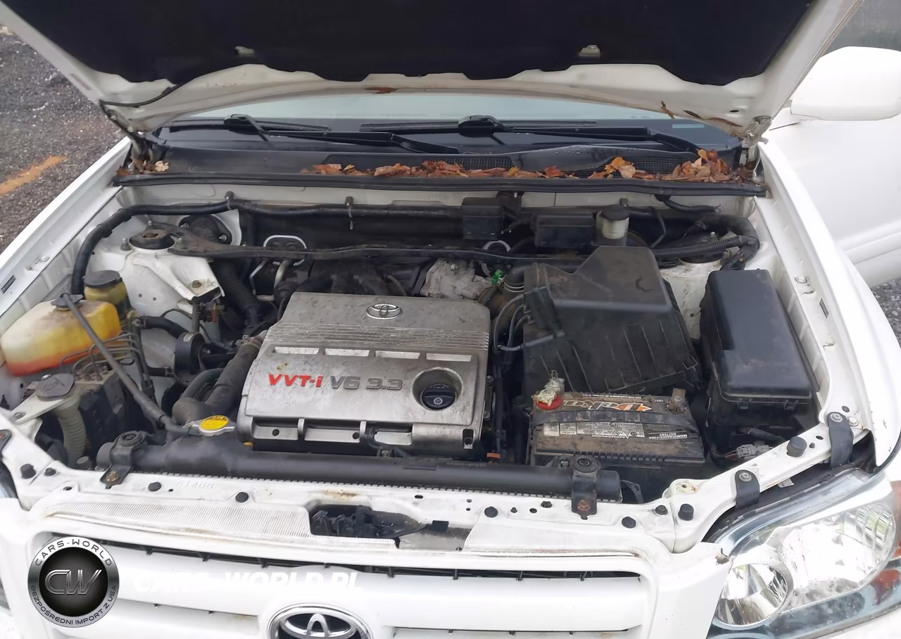 2004 Toyota Highlander V6 VIN:JTEGP21A540015186 - 10