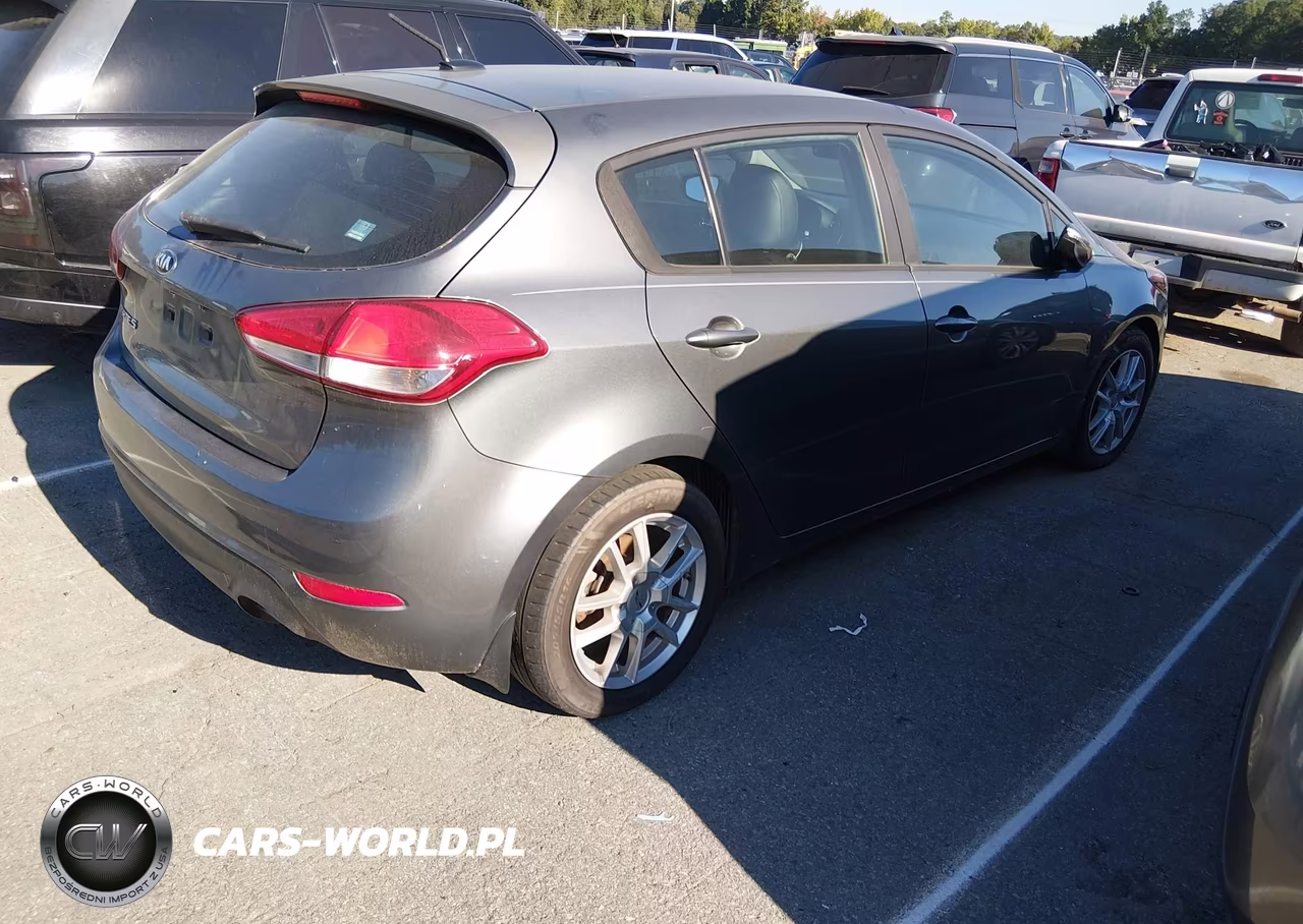 2016 Kia Forte Lx VIN:KNAFK5A80G5590328 - 4