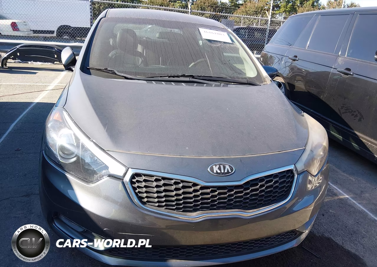 2016 Kia Forte Lx VIN:KNAFK5A80G5590328 - 6