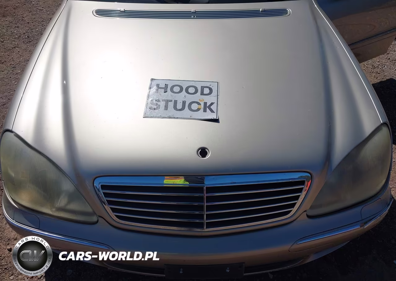 2002 Mercedes-Benz S 430 VIN:WDBNG70J42A255295 - 10