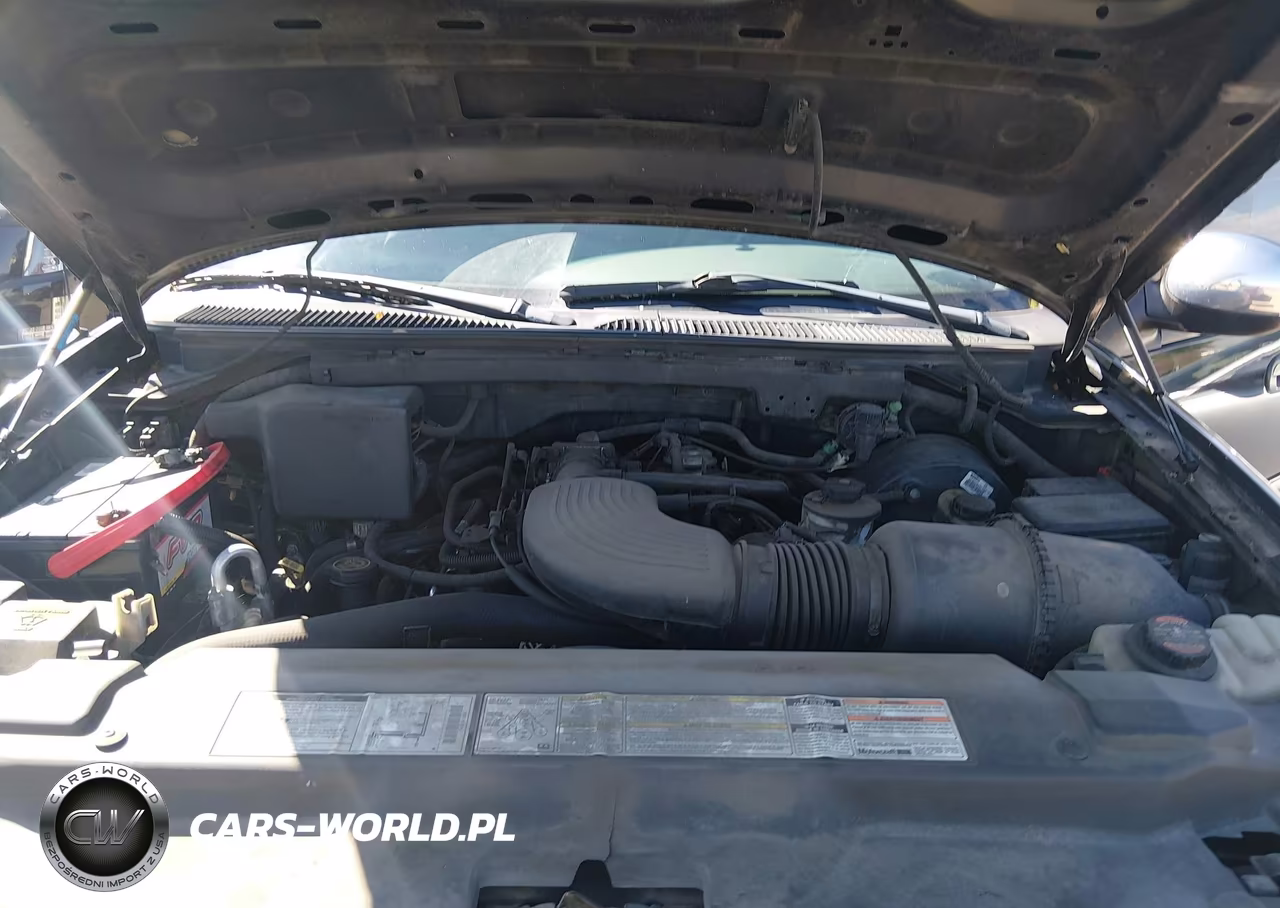 1998 Ford Expedition Eddie Bauer-Xlt VIN:1FMPU18L9WLB47251 - 10
