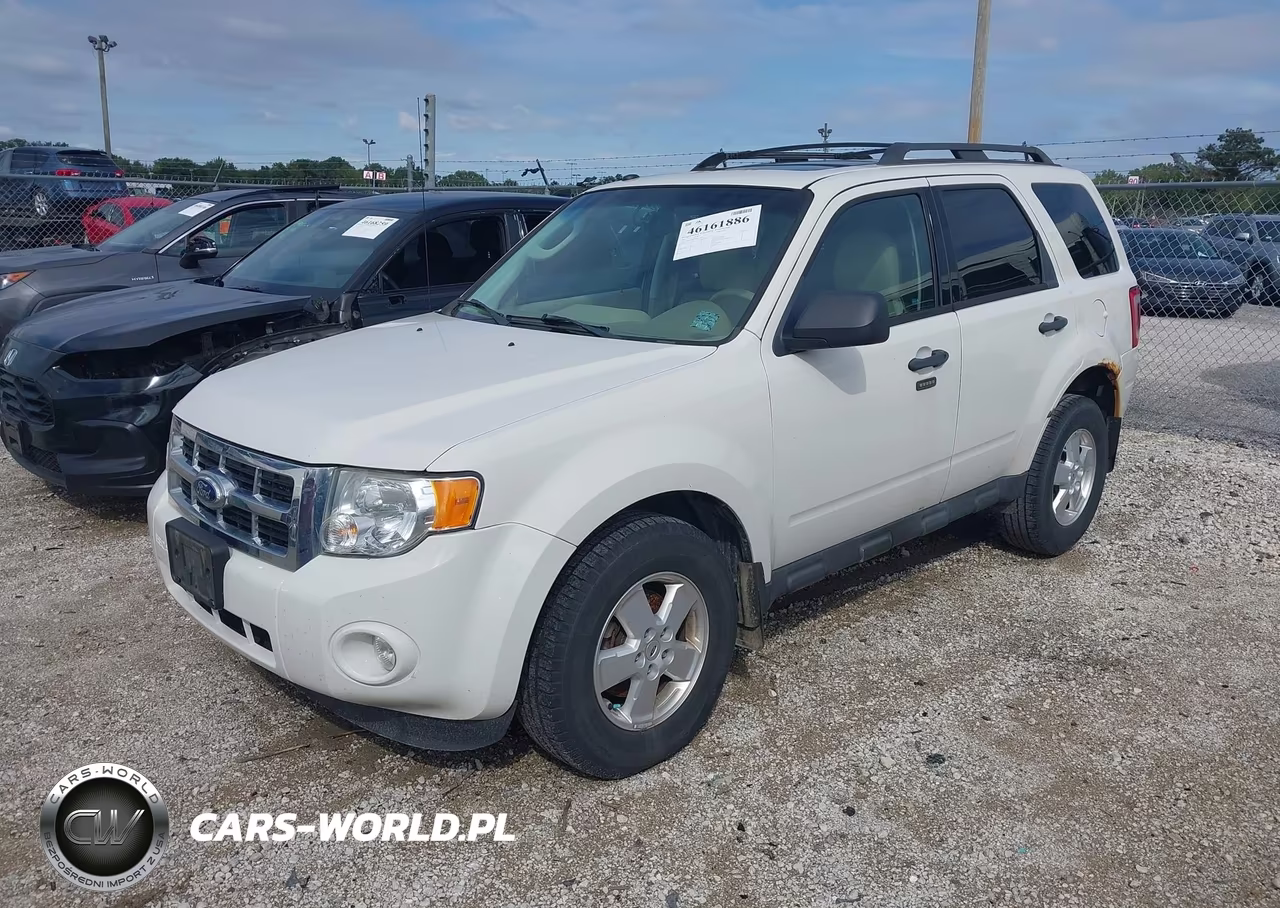 2011 Ford Escape Xlt VIN:1FMCU0DG7BKA73104 - 2