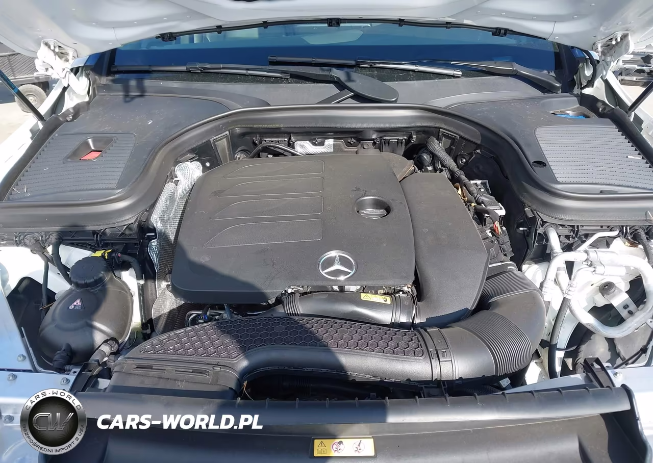 2021 Mercedes-Benz Glc 300 Suv VIN:W1N0G8DB7MF993885 - 10