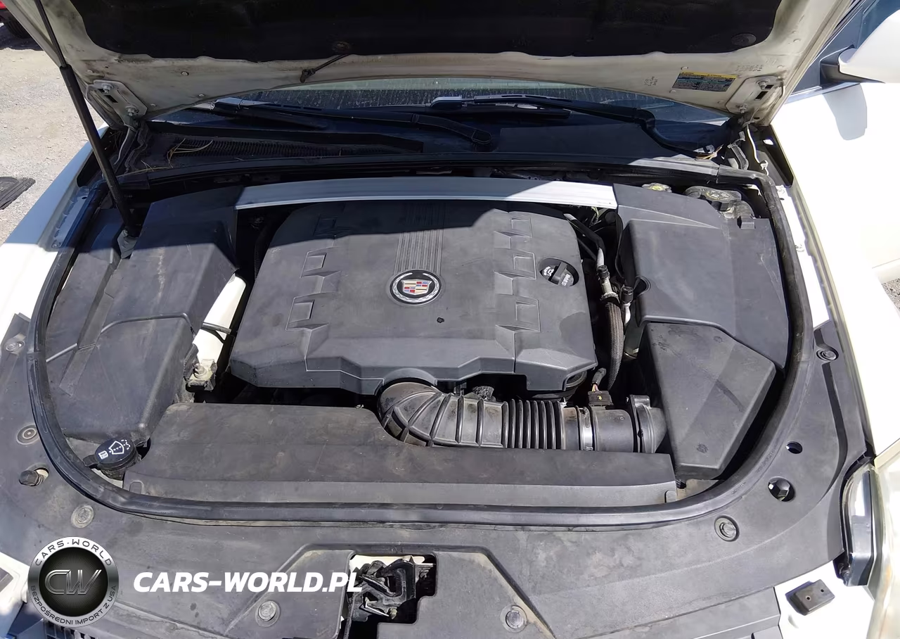 2010 Cadillac Cts Premium VIN:1G6DS5EV0A0101234 - 10