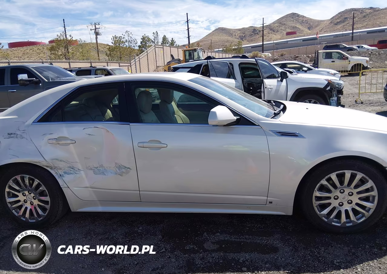 2010 Cadillac Cts Premium VIN:1G6DS5EV0A0101234 - 13