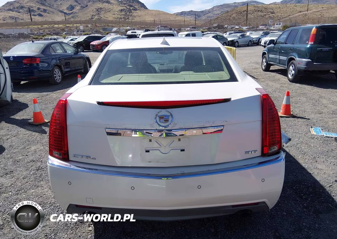 2010 Cadillac Cts Premium VIN:1G6DS5EV0A0101234 - 16
