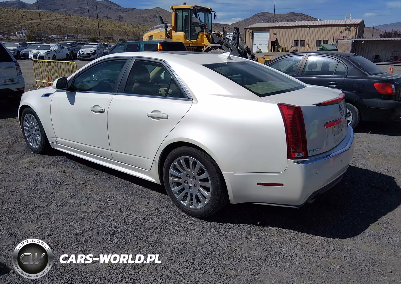 2010 Cadillac Cts Premium VIN:1G6DS5EV0A0101234 - 3