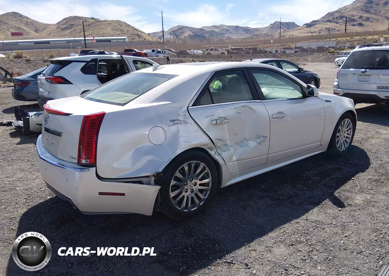 2010 Cadillac Cts Premium VIN:1G6DS5EV0A0101234 - 4