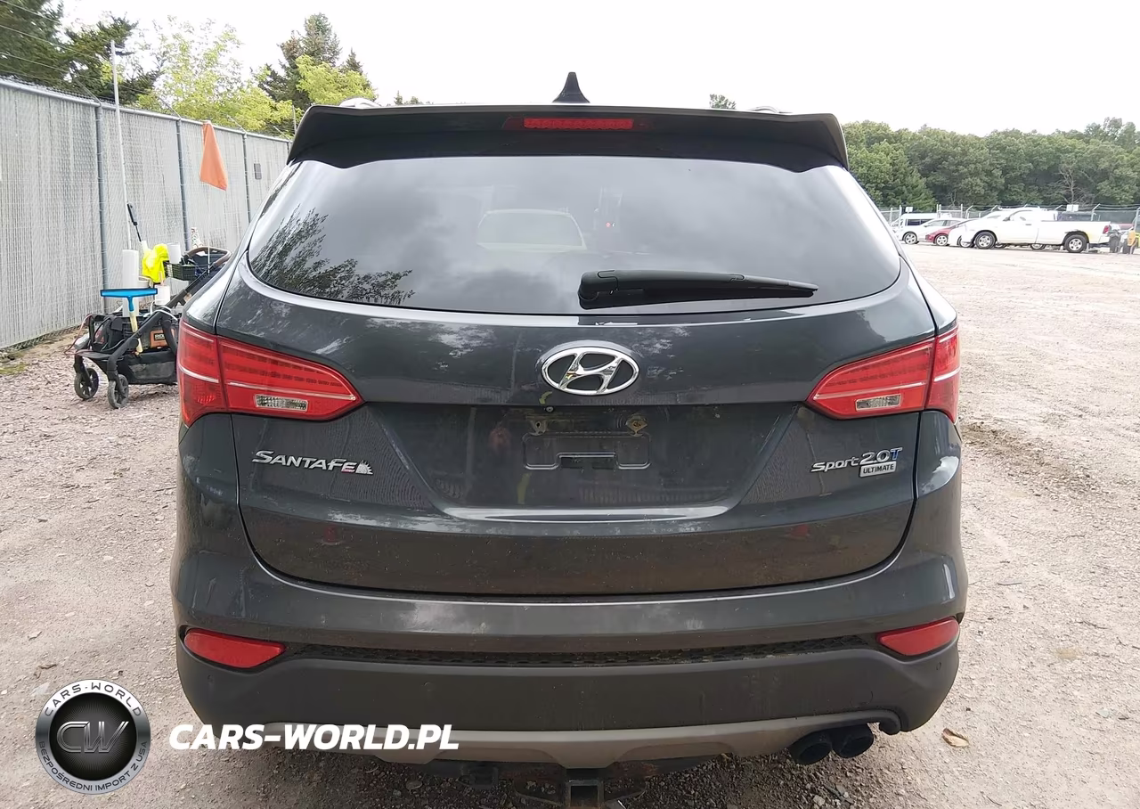 2016 Hyundai Santa Fe Sport 2.0L Turbo VIN:5XYZW4LA3GG342645 - 16