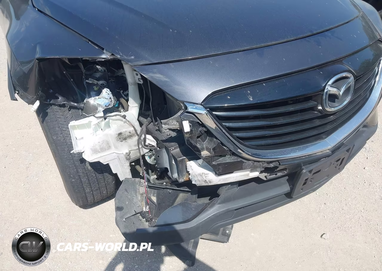 2013 Mazda Cx-9 Touring VIN:JM3TB2CAXD0418649 - 6