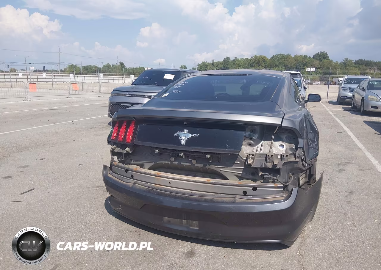 2016 Ford Mustang V6 VIN:1FA6P8AM5G5264890 - 16