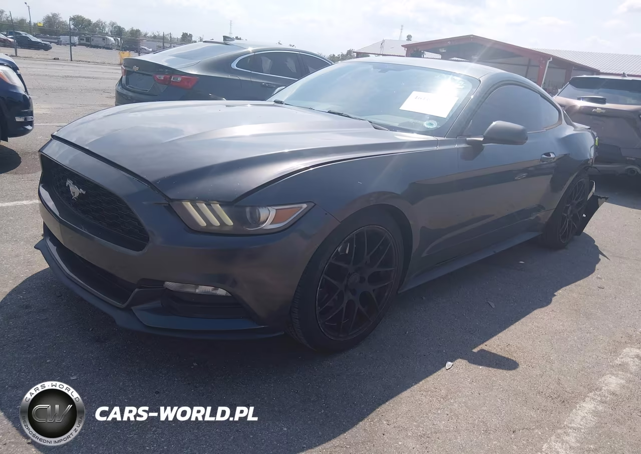 2016 Ford Mustang V6 VIN:1FA6P8AM5G5264890 - 2