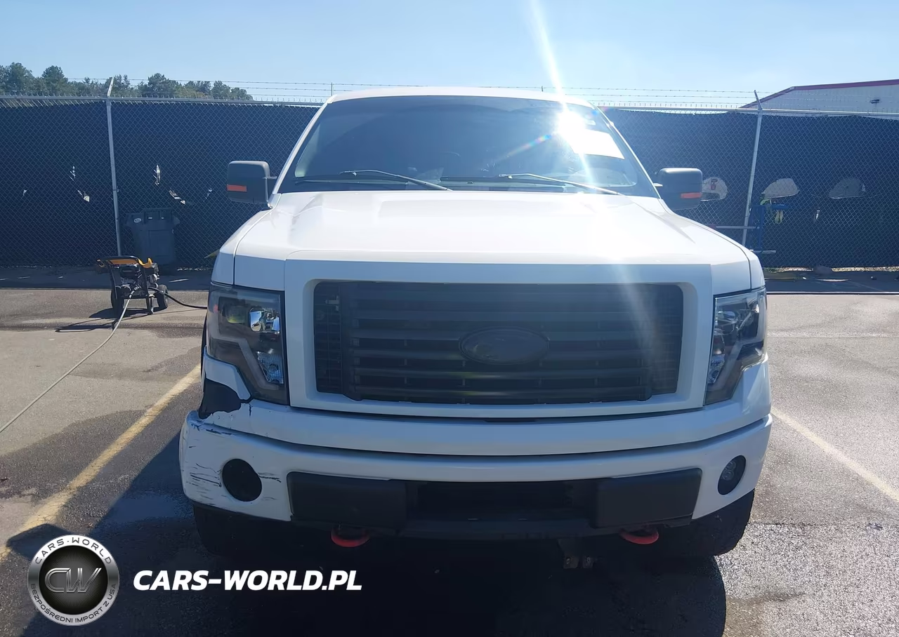 2011 Ford F-150 Xlt VIN:1FTFW1ETXBFC43851 - 12