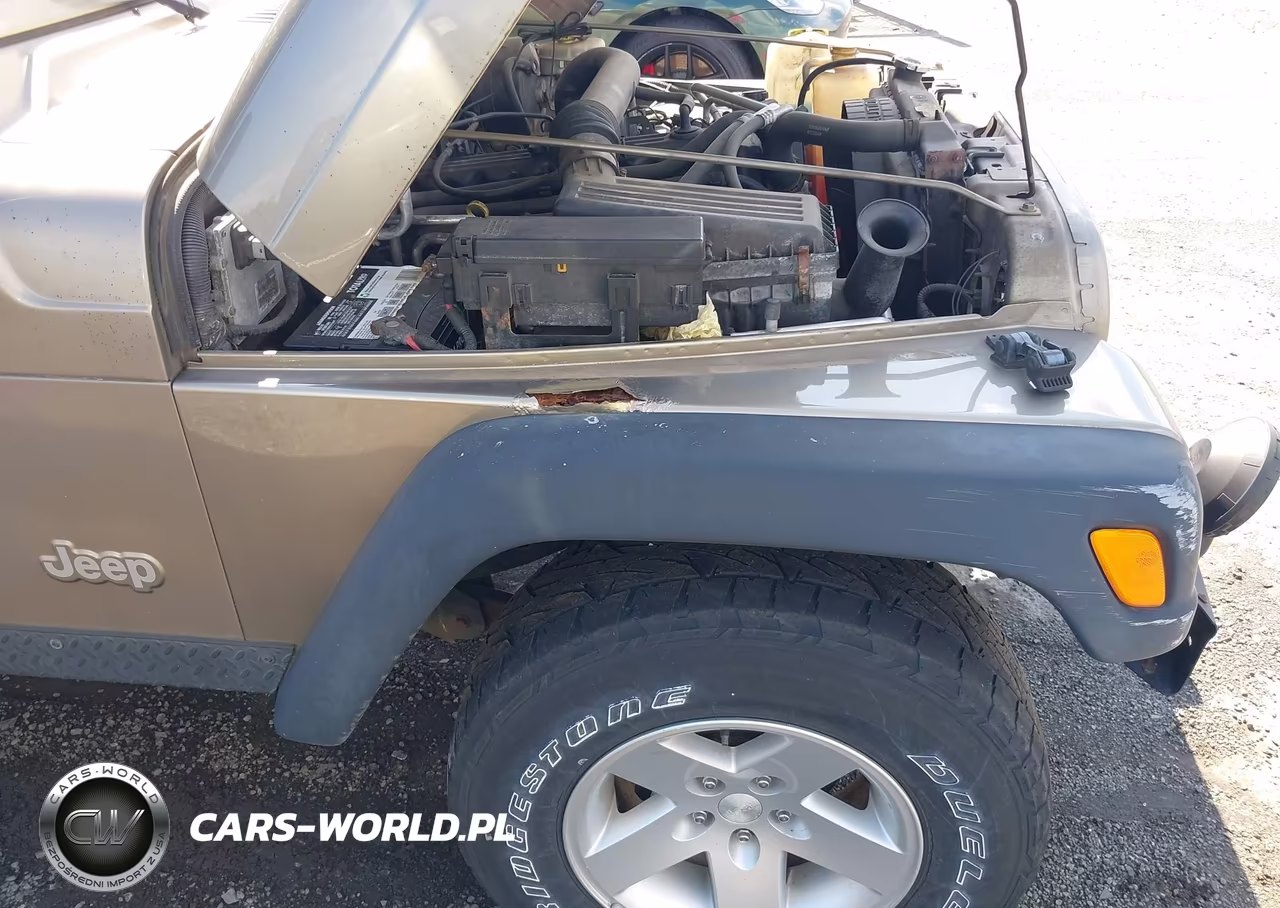 2004 Jeep Wrangler Rubicon VIN:1J4FA69S64P798705 - 17