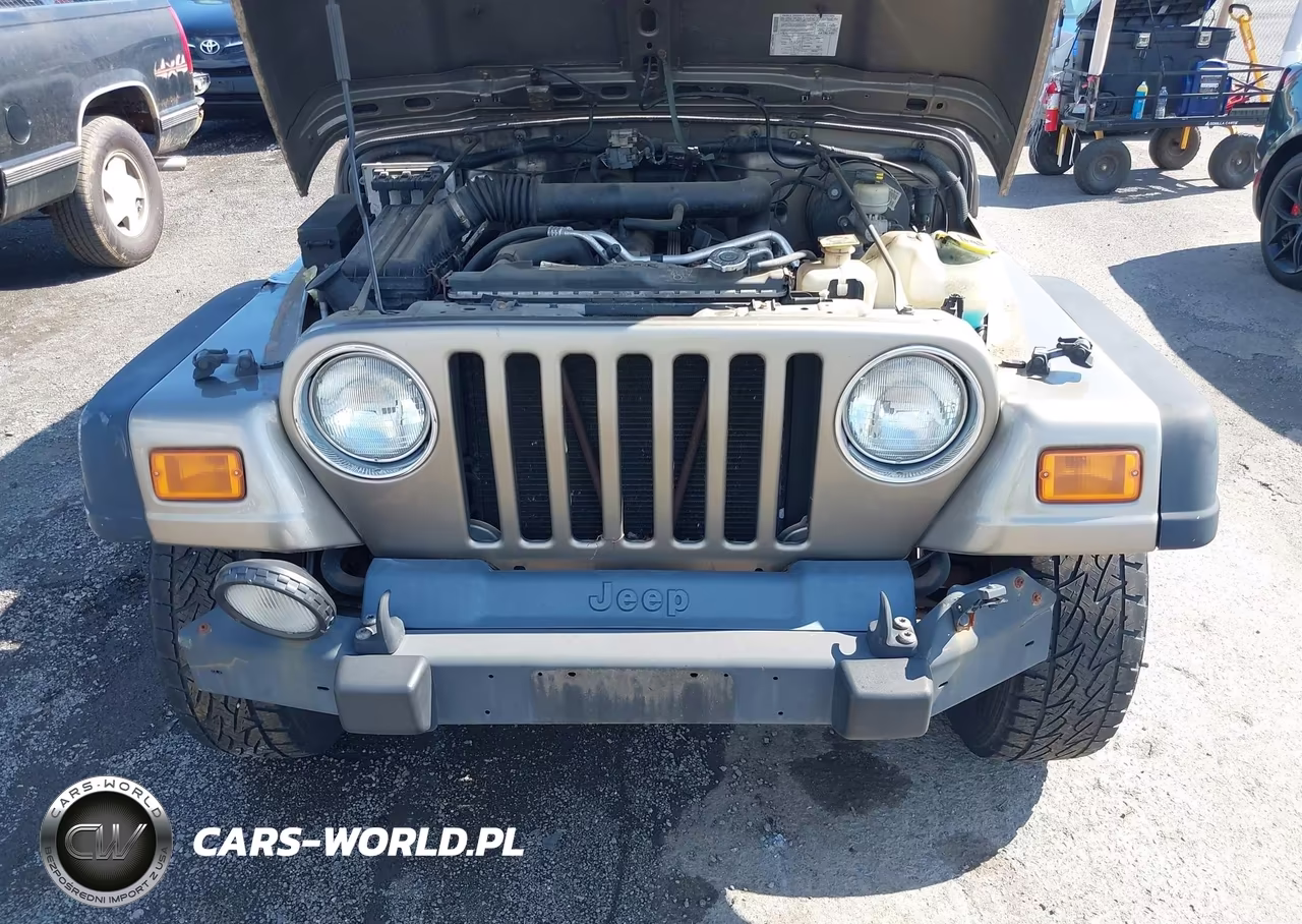 2004 Jeep Wrangler Rubicon VIN:1J4FA69S64P798705 - 6