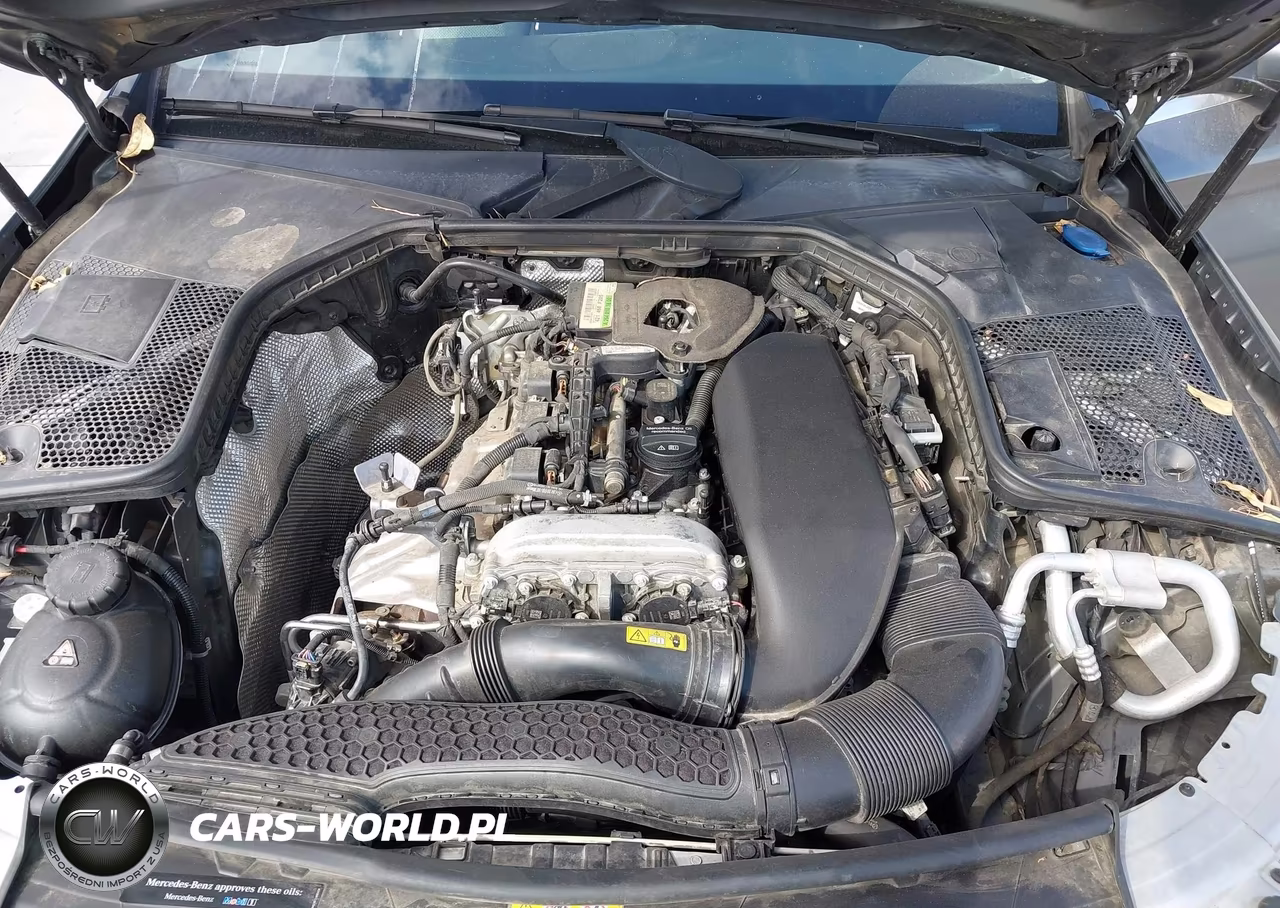 2019 Mercedes-Benz C 300 VIN:55SWF8DB4KU299398 - 10