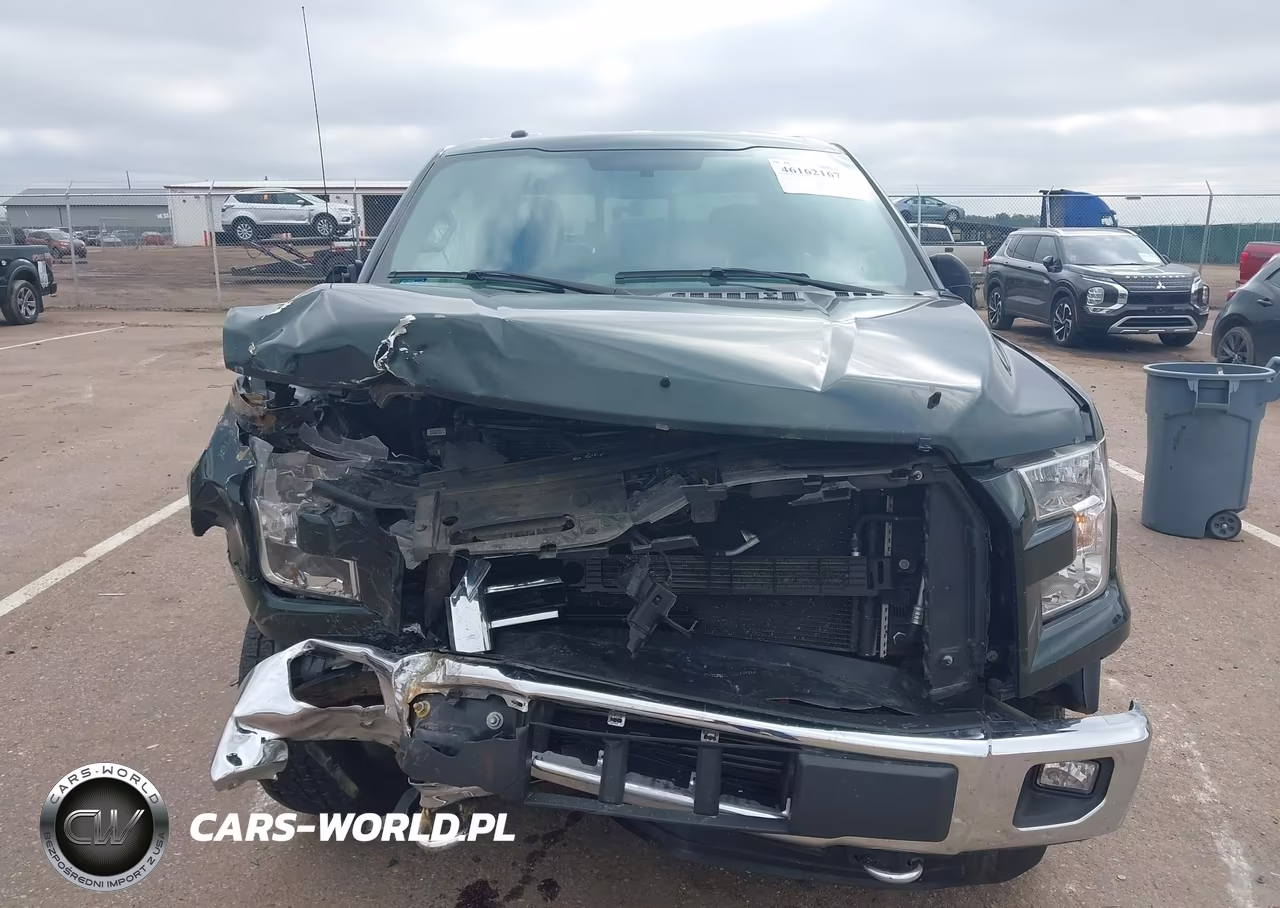2015 Ford F-150 Xlt VIN:1FTEW1EP8FKD36430 - 12