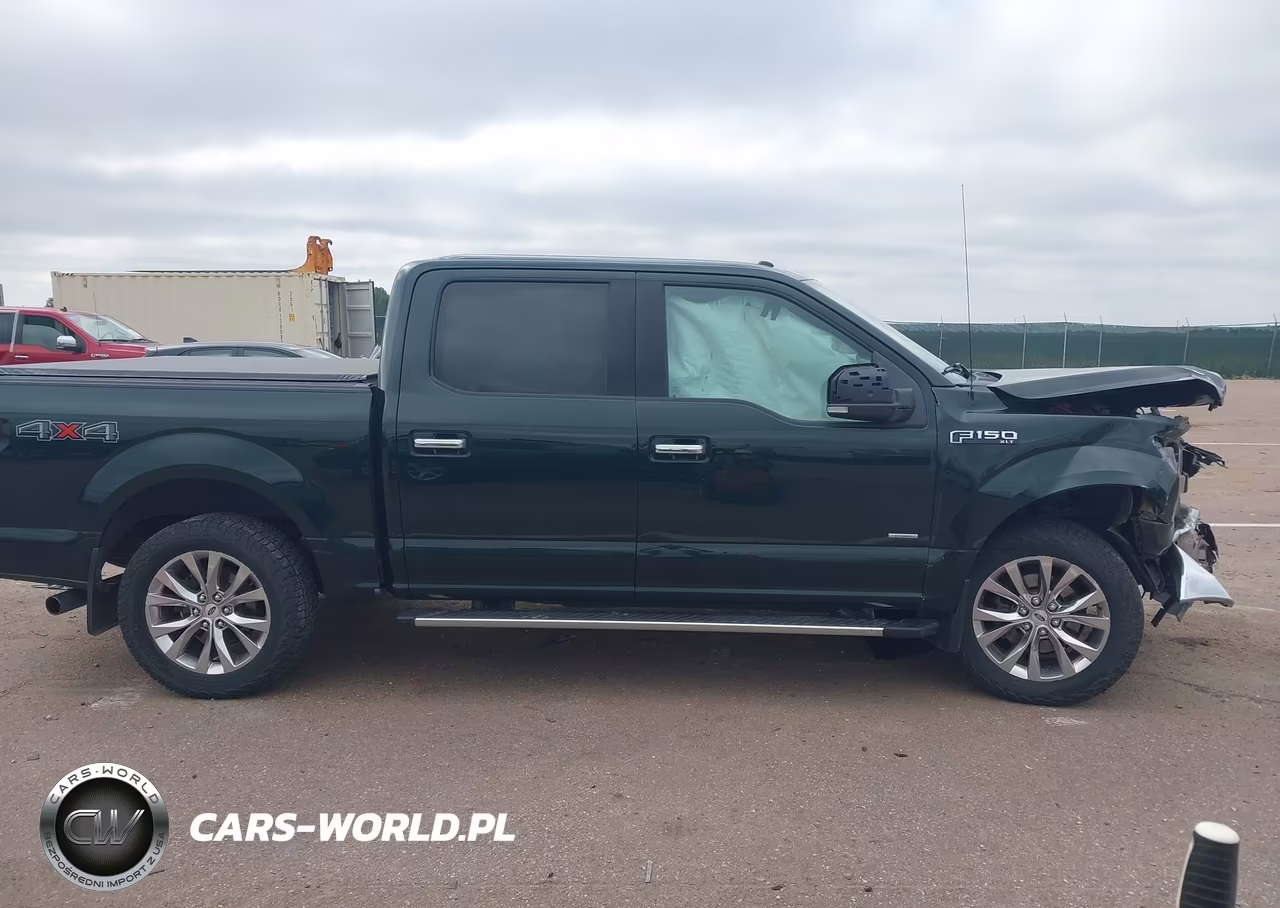 2015 Ford F-150 Xlt VIN:1FTEW1EP8FKD36430 - 13