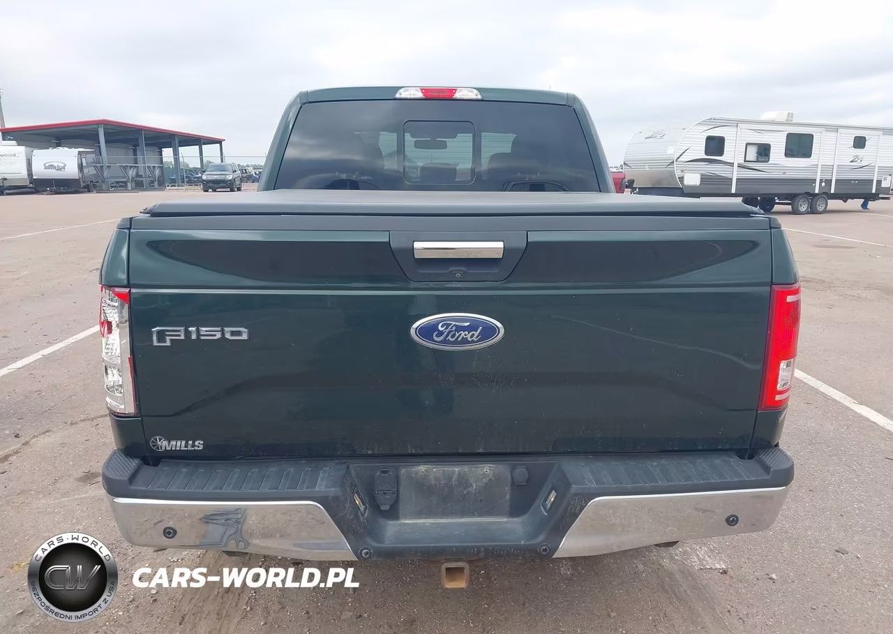2015 Ford F-150 Xlt VIN:1FTEW1EP8FKD36430 - 16