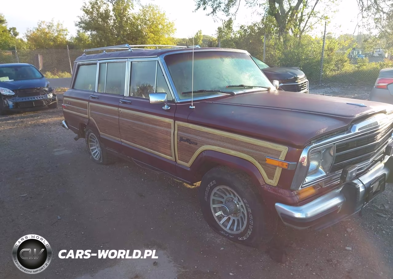 1991 Jeep Grand Wagoneer VIN:1J4GS5875MP802932 - 1