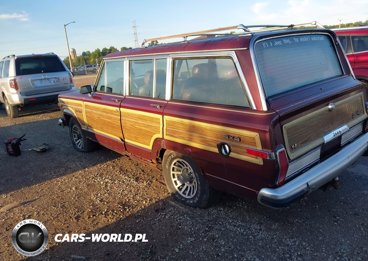 1991 Jeep Grand Wagoneer VIN:1J4GS5875MP802932 - 3
