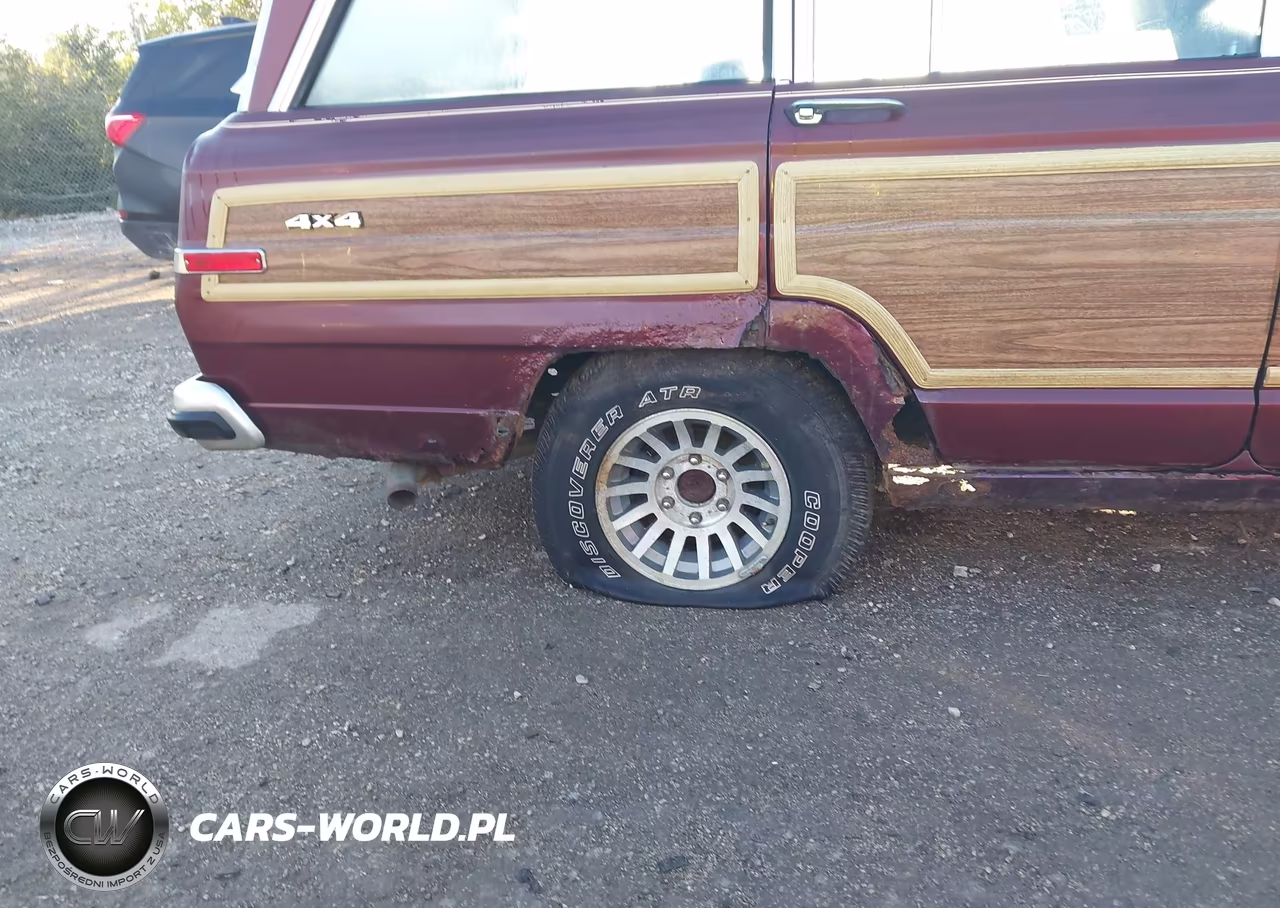 1991 Jeep Grand Wagoneer VIN:1J4GS5875MP802932 - 6