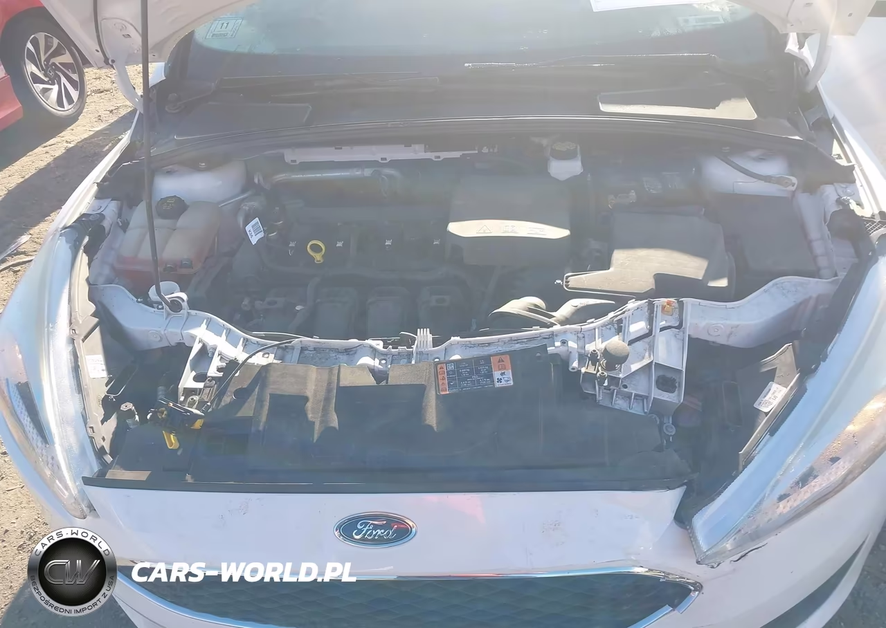 2017 Ford Focus Se VIN:1FADP3F25HL335276 - 10