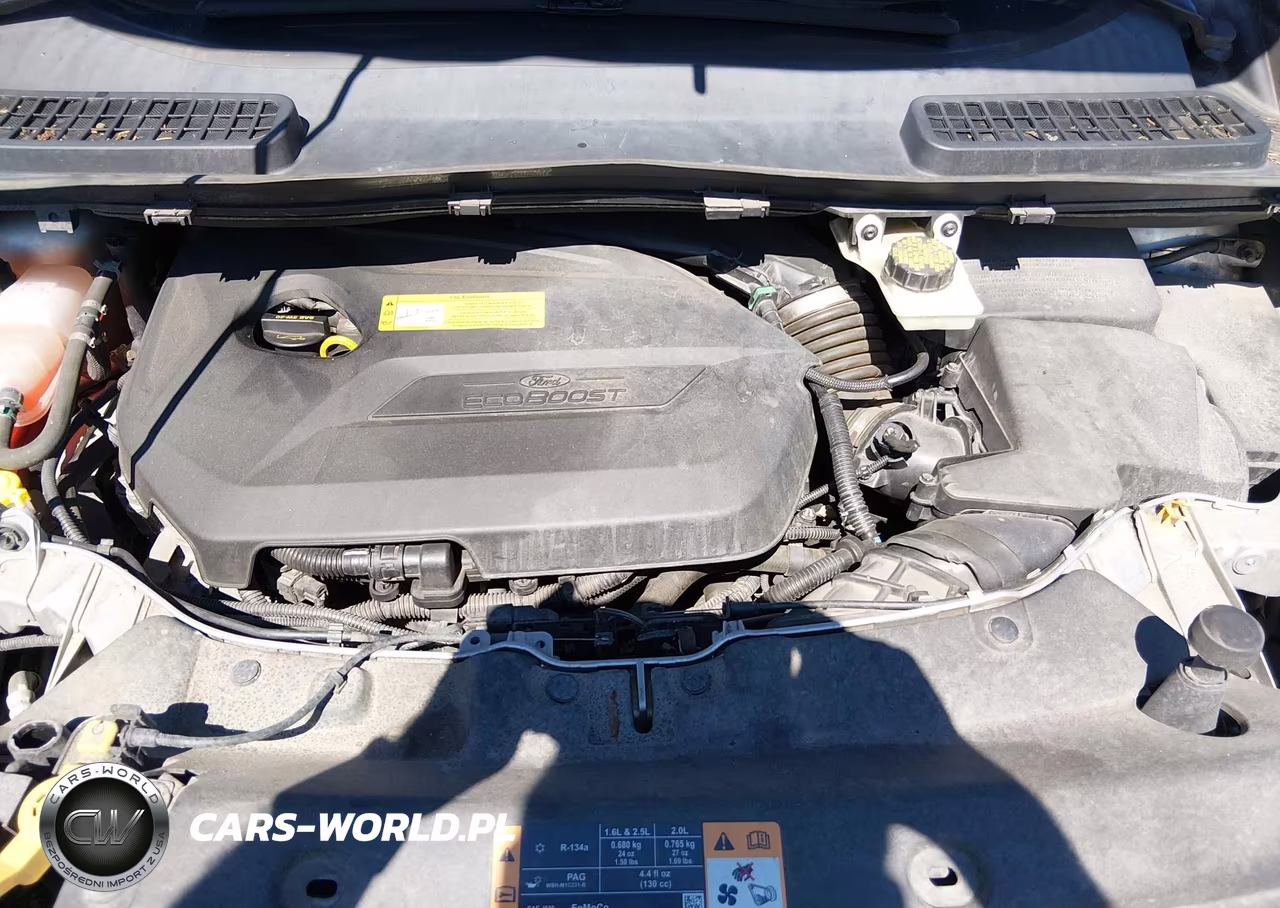 2014 Ford Escape Se VIN:1FMCU9GX5EUA73465 - 10