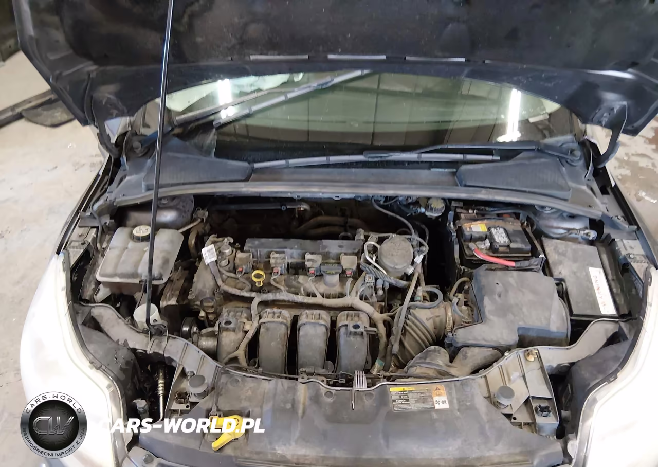 2014 Ford Focus Se VIN:1FADP3F28EL161943 - 10