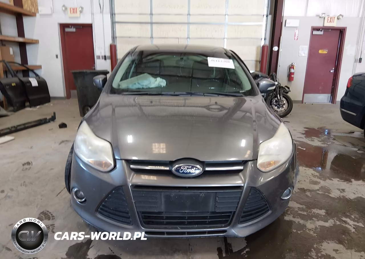 2014 Ford Focus Se VIN:1FADP3F28EL161943 - 12
