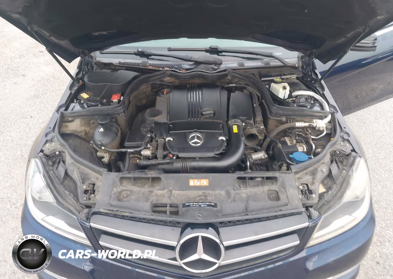 2015 Mercedes-Benz C 250 VIN:WDDGJ4HB9FG391003 - 10