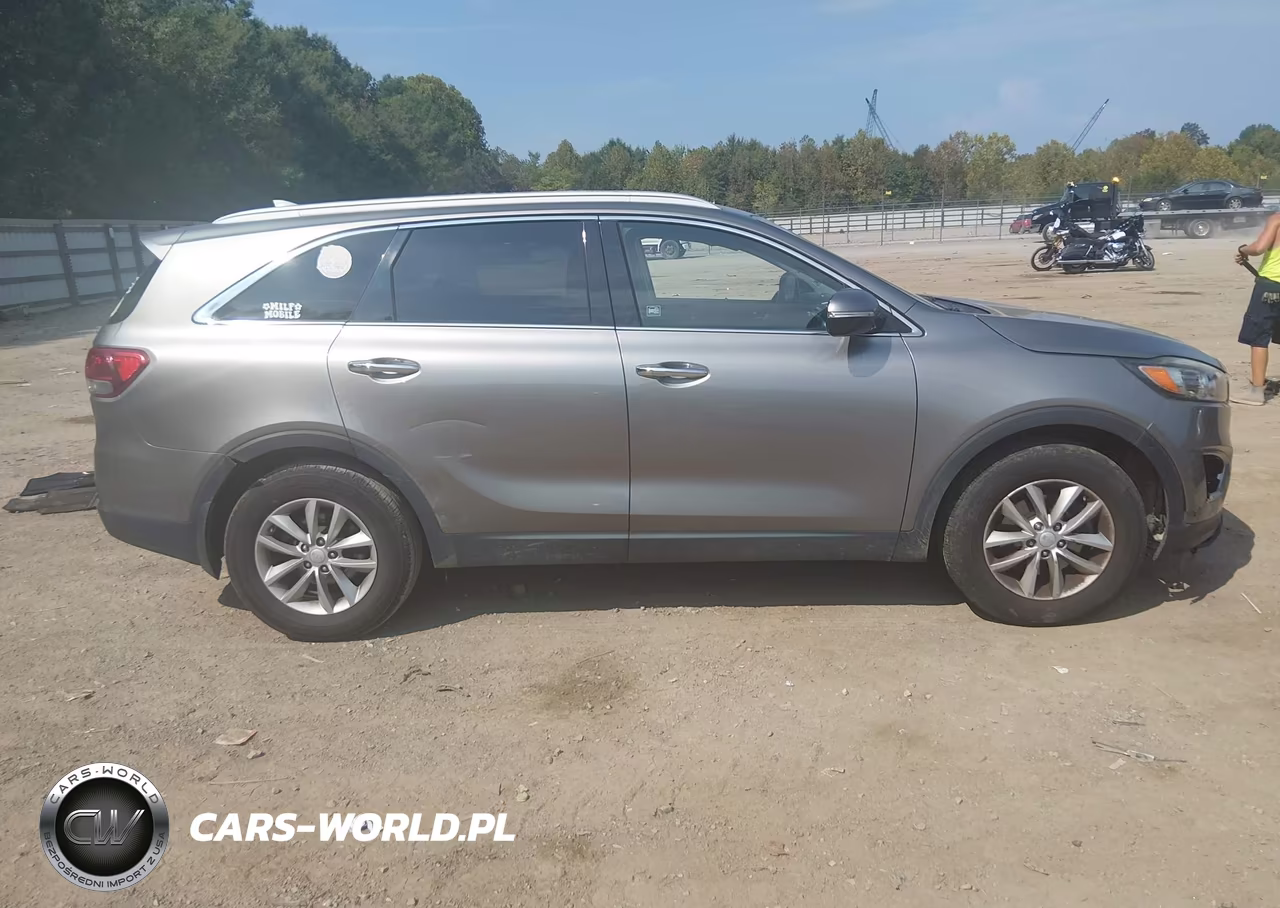 2017 Kia Sorento 2.4L Lx VIN:5XYPG4A36HG273752 - 13