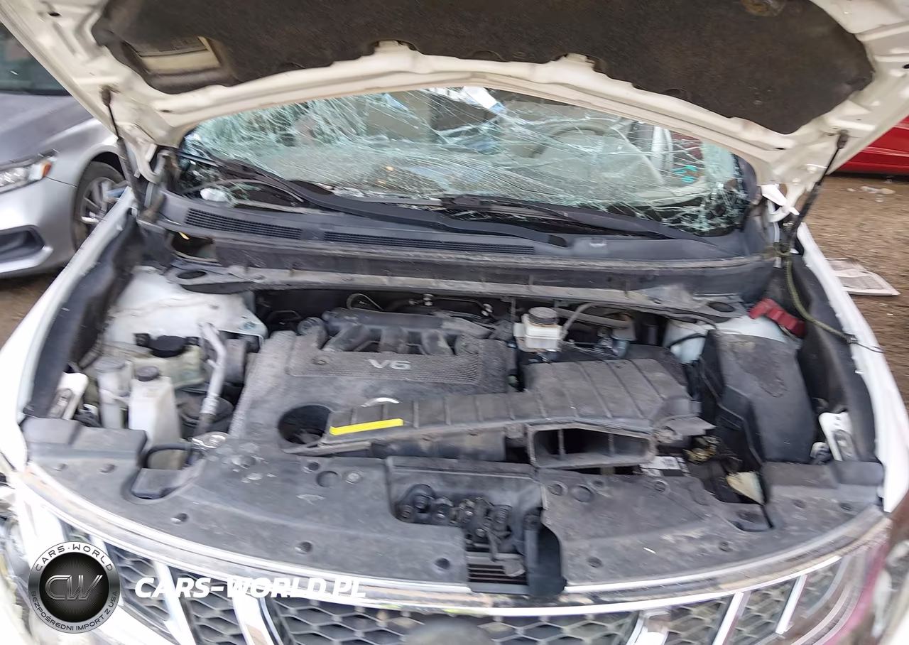 2014 Nissan Murano Sv VIN:JN8AZ1MU4EW420785 - 10